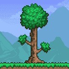 ̩4.0.5.0